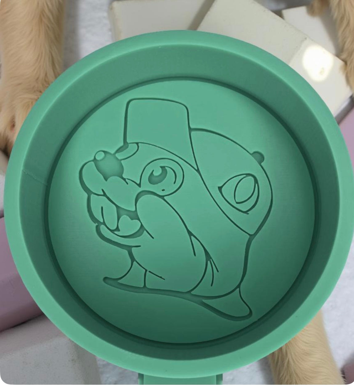 Bucee car freshie mold.