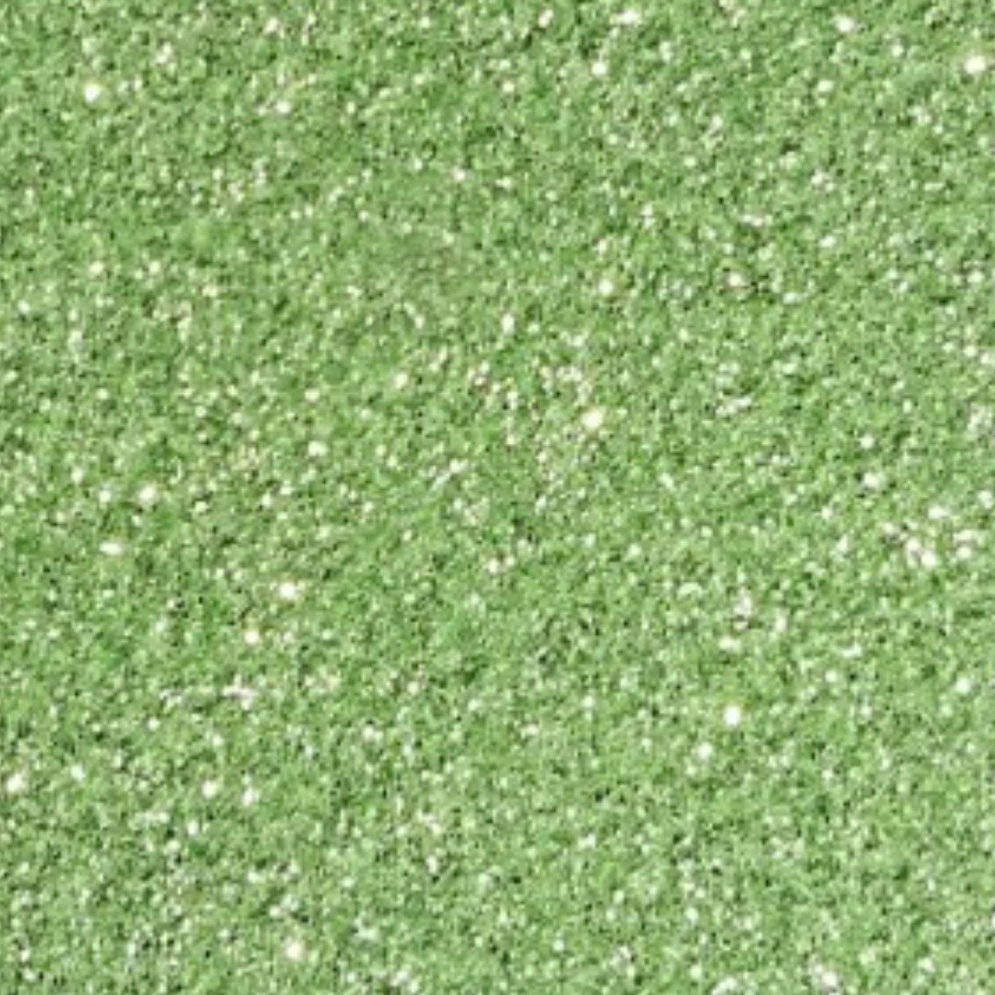 Tiana’s Green Wish Craft 2oz fine glitter