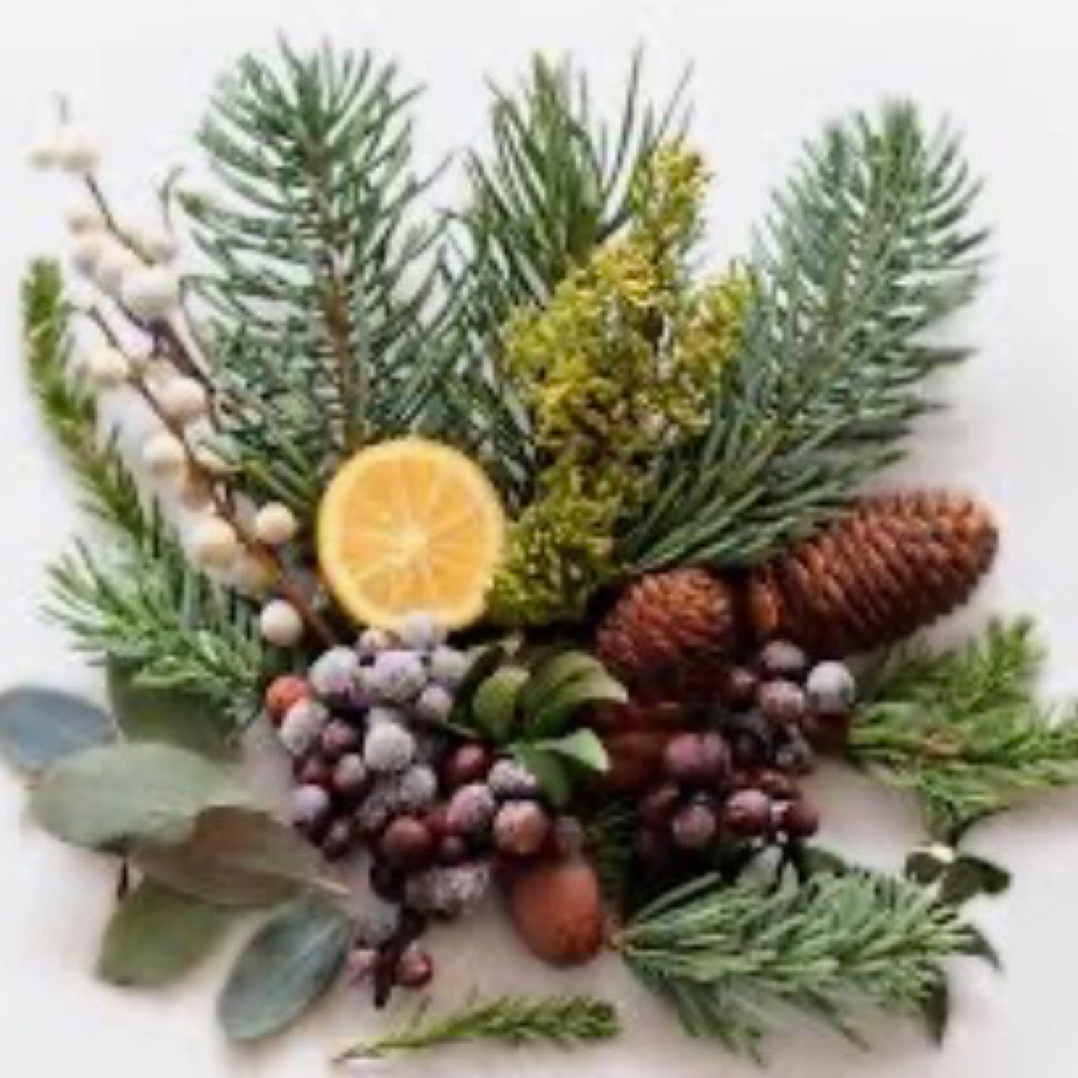 Mahogany Balsam scented aroma beads
