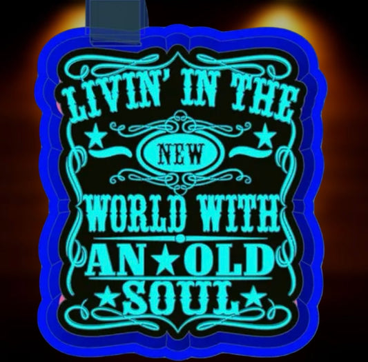 Living in the new world car freshie mold.