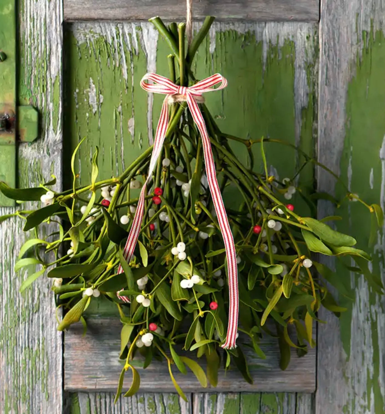Mistletoe scented aroma beads.