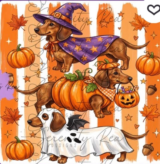 Dachshund square cardstock