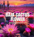 Baja Cactus Flower scented aroma beads.