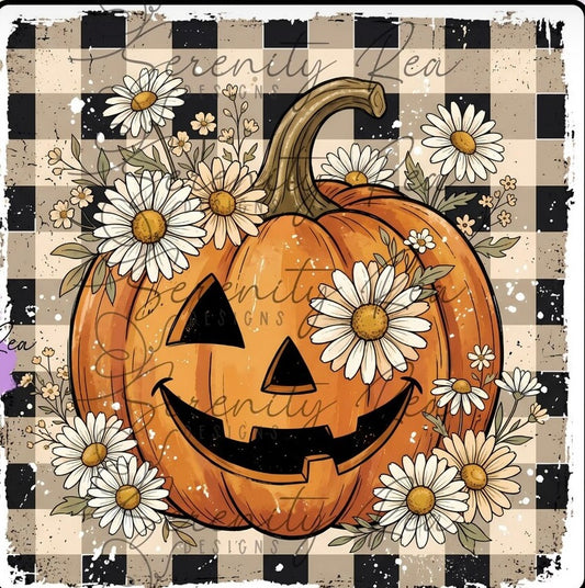 Daisy pumpkin square cardstock