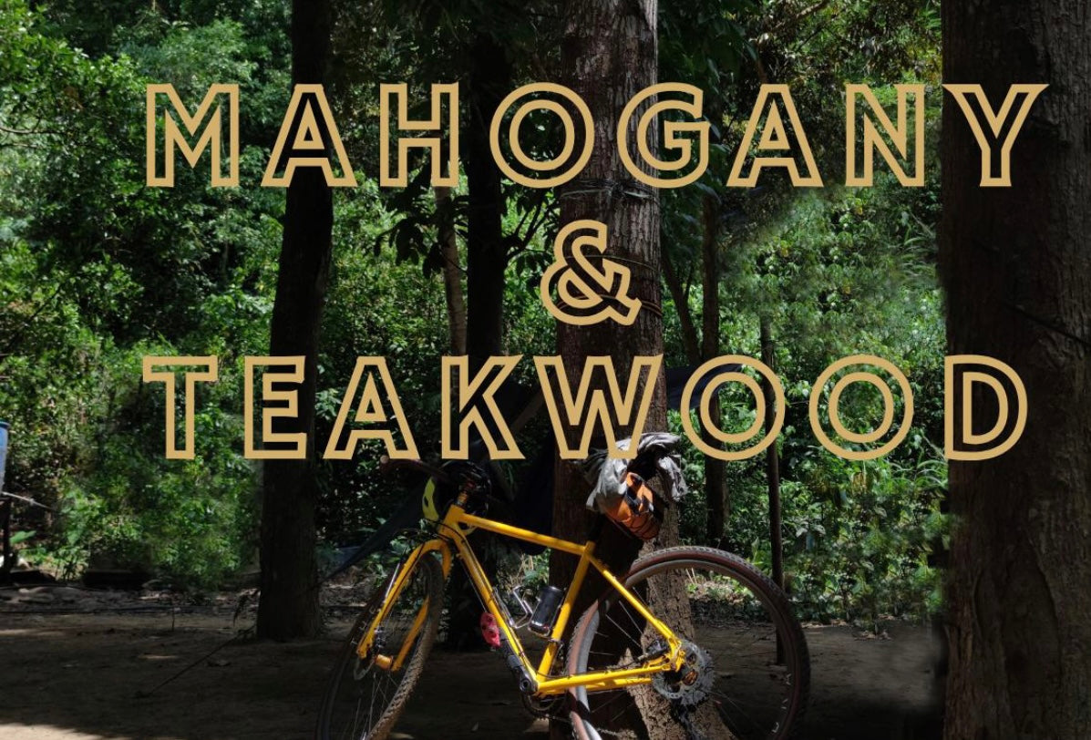 Mahogany &amp; Teakwood scented aroma beads.