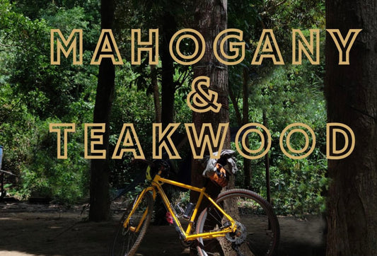 Mahogany &amp; Teakwood scented aroma beads.