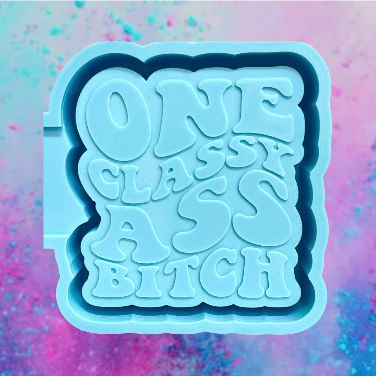 One Classy Ass Bitch freshie mold