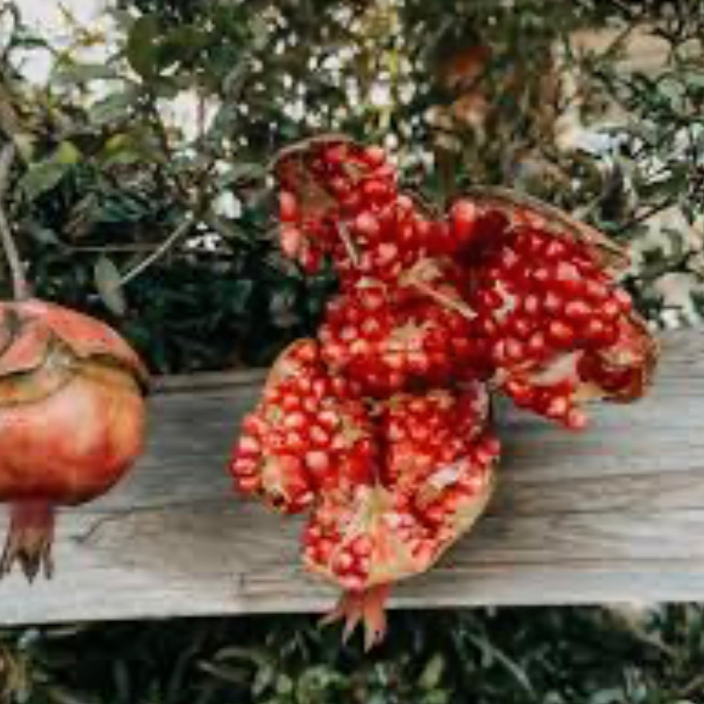 Wild pomegranate scented aroma beads.