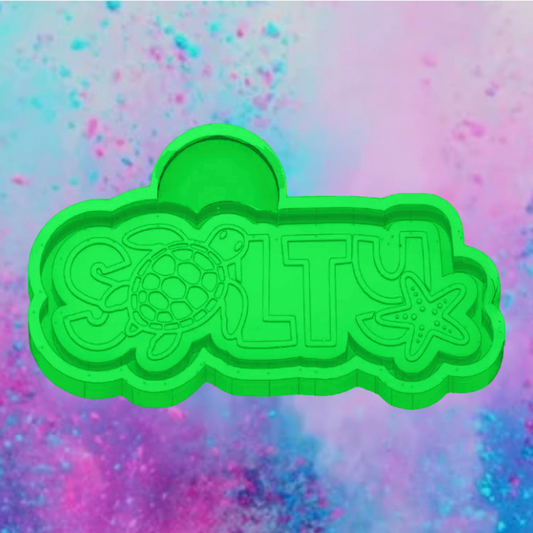Salty sea turtle freshie mold