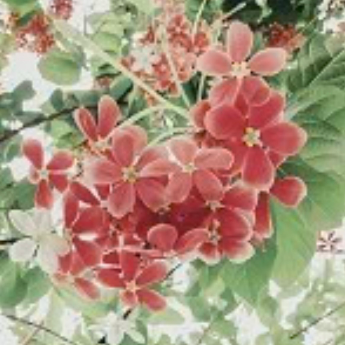 Gucci Bloom scented aroma beads.