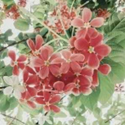 Gucci Bloom scented aroma beads.