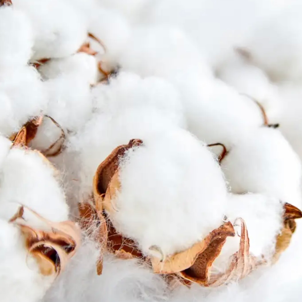 Clean cloud scented  aroma beads