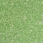 Tiana’s Green Wish Craft 2oz fine glitter
