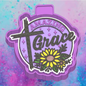 Amazing Grace freshie mold