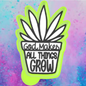 God makes things grow freshie mold